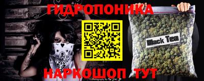 гашик Ипатово