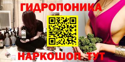гашик Ипатово