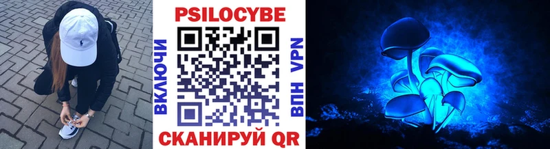 даркнет клад  ОМГ ОМГ как войти  Краснотурьинск  Галлюциногенные грибы Psilocybe 