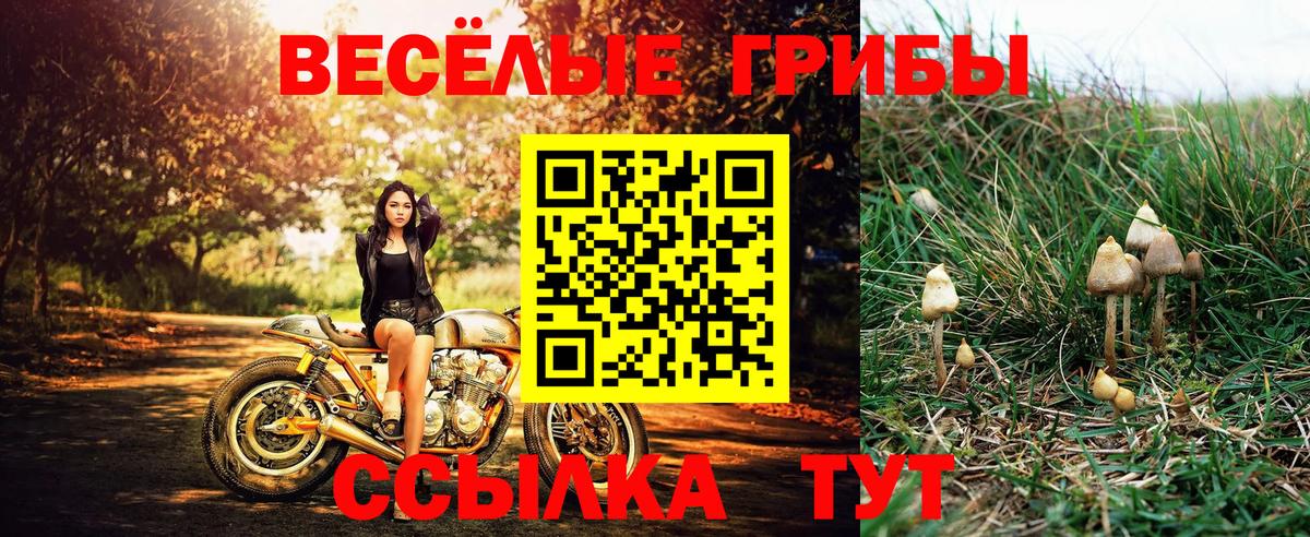Галлюциногенные грибы GOLDEN TEACHER Краснотурьинск